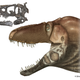 Illustration for article titled This Tyrannosaur Used a Sixth Sense to Hunt Its Prey